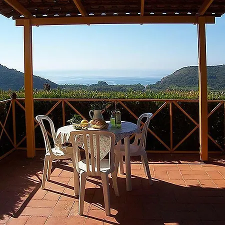 Apartment- Bilo 3 Centola
