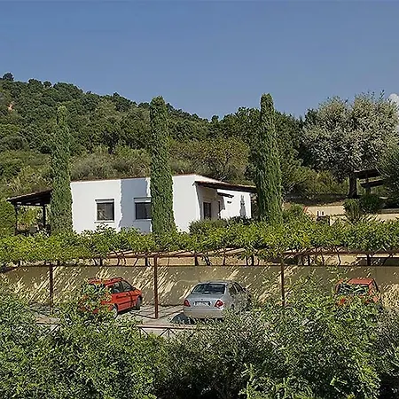 Apartment- Bilo 3